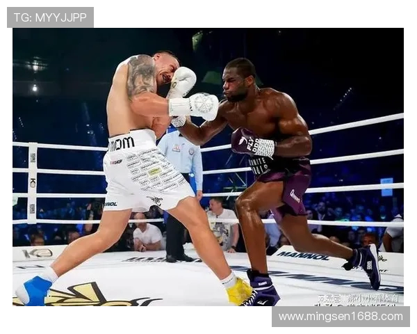 KO 不败对手！萨马克锁定拳王挑战权